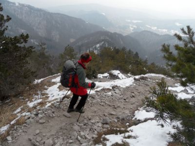 Kliknite za ogled večje slike