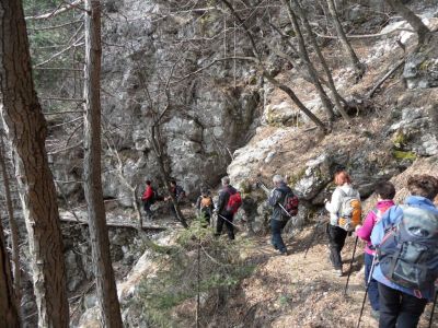 Kliknite za ogled večje slike