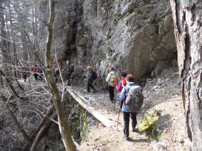 Kliknite za ogled večje slike