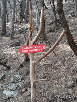 Kliknite za ogled večje slike