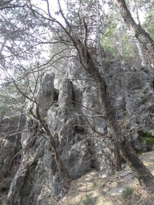 Kliknite za ogled večje slike