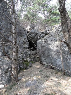 Kliknite za ogled večje slike