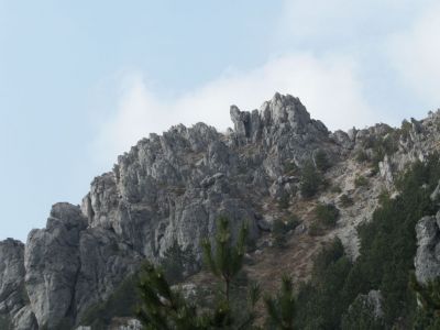 Kliknite za ogled večje slike
