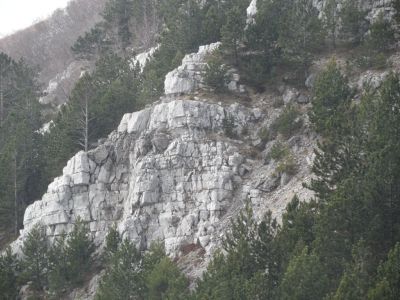 Kliknite za ogled večje slike