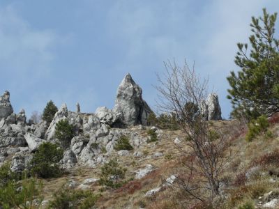 Kliknite za ogled večje slike