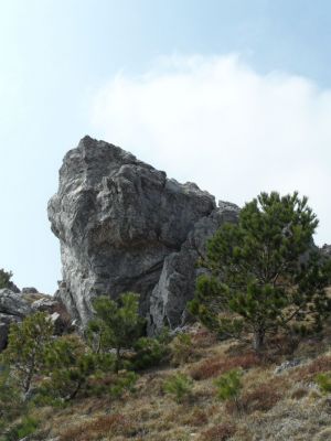 Kliknite za ogled večje slike