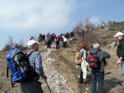 Kliknite za ogled večje slike