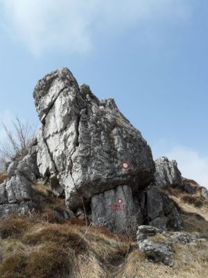 Kliknite za ogled večje slike