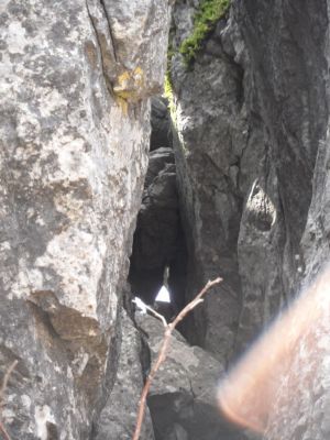 Kliknite za ogled večje slike
