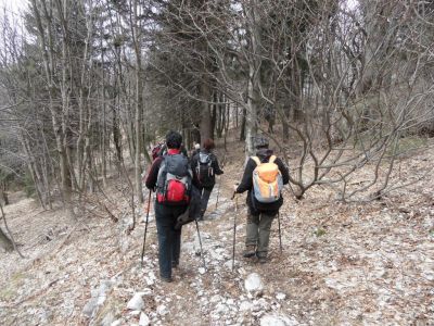 Kliknite za ogled večje slike
