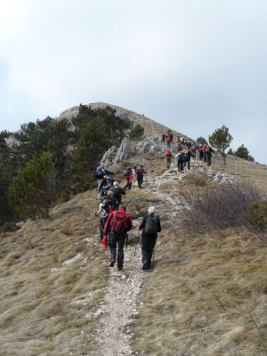 Kliknite za ogled večje slike