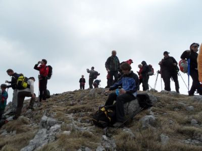 Kliknite za ogled večje slike