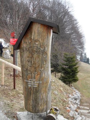 Kliknite za ogled večje slike