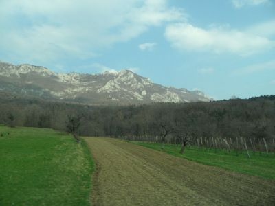 Kliknite za ogled večje slike