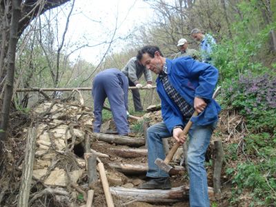 Kliknite za ogled večje slike