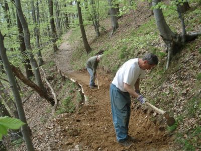 Kliknite za ogled večje slike