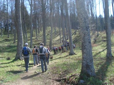 Kliknite za ogled večje slike
