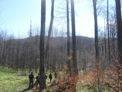 Kliknite za ogled večje slike