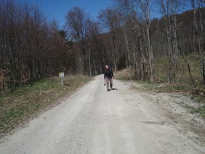 Kliknite za ogled večje slike