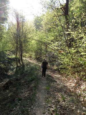 Kliknite za ogled večje slike
