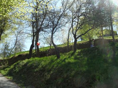 Kliknite za ogled večje slike