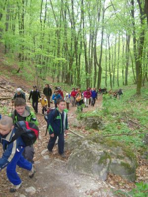 Kliknite za ogled večje slike