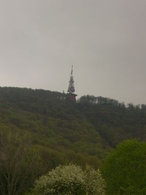 Kliknite za ogled večje slike