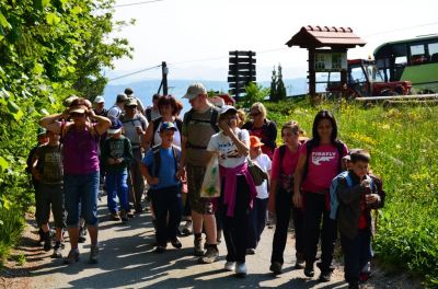 Kliknite za ogled večje slike
