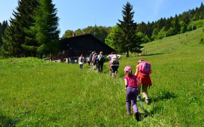 Kliknite za ogled večje slike