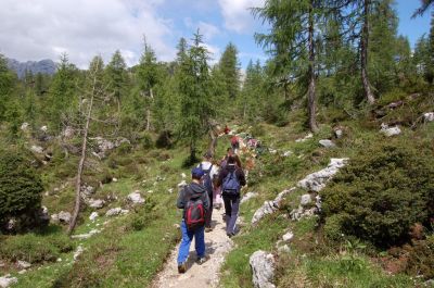 Kliknite za ogled večje slike