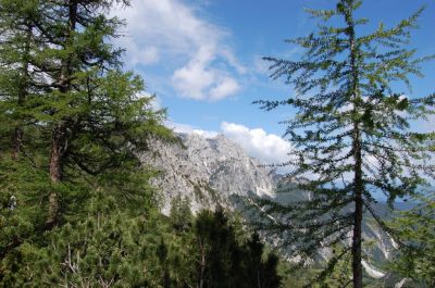 Kliknite za ogled večje slike