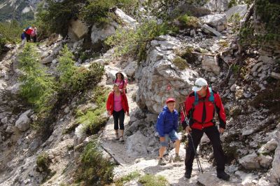 Kliknite za ogled večje slike