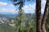 DSC_0134.JPG