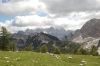 DSC_0156.JPG