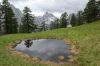 DSC_0168.JPG