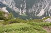 DSC_0206.JPG