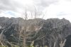 DSC_0214.JPG
