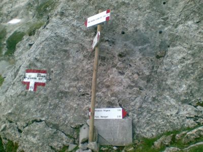 Kliknite za ogled večje slike
