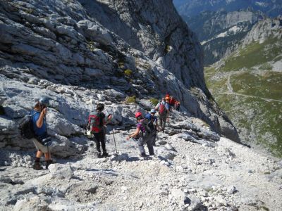 Kliknite za ogled večje slike