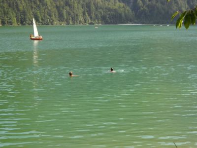 Kliknite za ogled večje slike