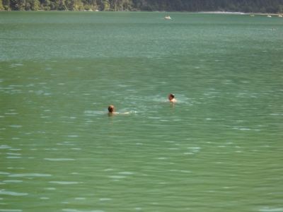 Kliknite za ogled večje slike