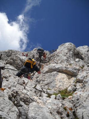 Kliknite za ogled večje slike