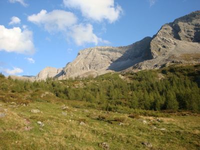Kliknite za ogled večje slike