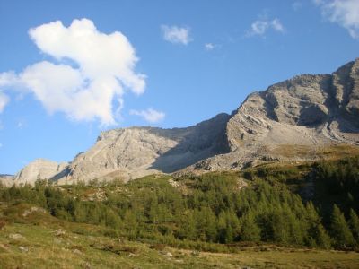 Kliknite za ogled večje slike