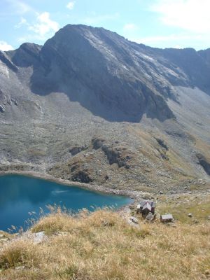 Kliknite za ogled večje slike