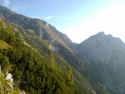 Kliknite za ogled večje slike