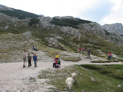 Kliknite za ogled večje slike