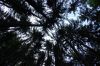 DSC_0029.JPG