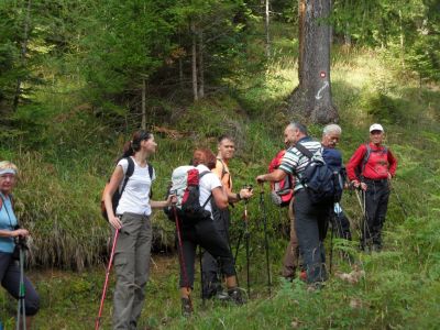 Kliknite za ogled večje slike