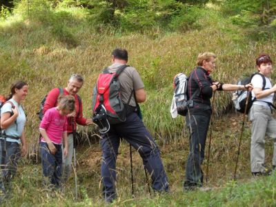 Kliknite za ogled večje slike